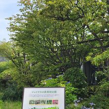 ジョイナスの森彫刻公園