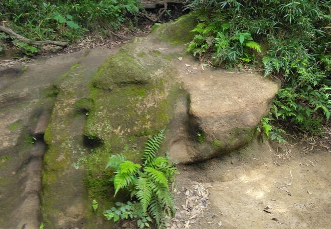 葛原岡 大仏ハイキングコース