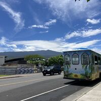 2024までバス無料