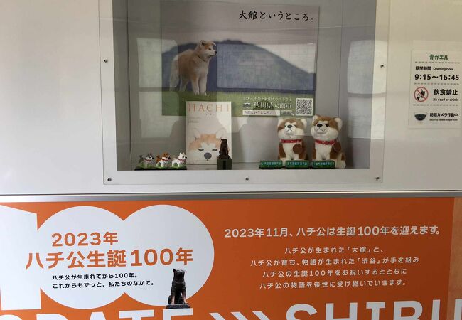 懐かしいわねぇー