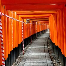 千本鳥居