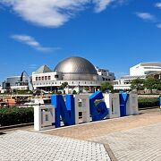 名古屋No1の観光スポット。とても見応えのある水族館。