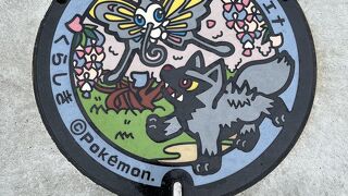 倉敷の中心部近くの自然史博物館