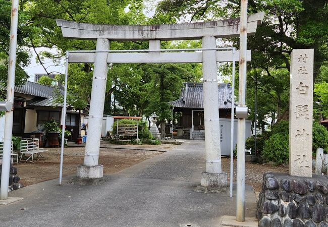 白髭神社