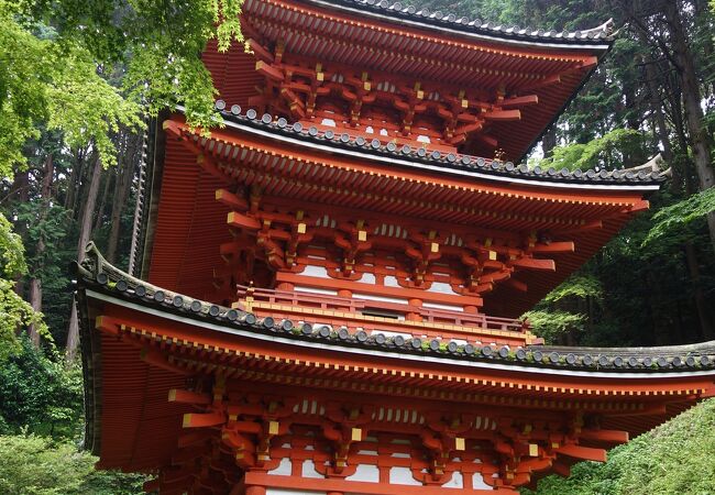 緑の深い山寺です。静かでおちつきます。