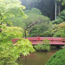 庭園も綺麗です