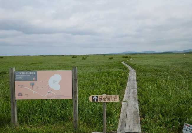 メグマ原生花園