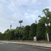 佐賀県立森林公園