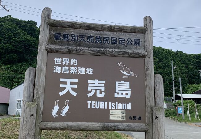 天売島