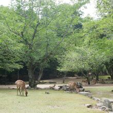 大元公園