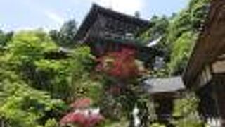 なかなかの眺め