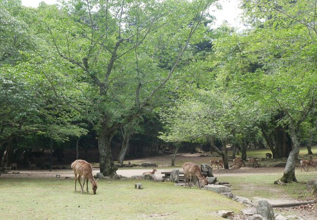 大元公園