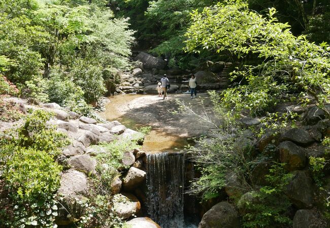 緑いっぱいの公園