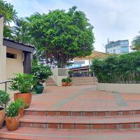 2Fにあるガーデン