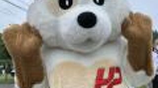 大雪山国立公園及び東大雪地域の色んな生き物や自然について知ることができます、タウシュベツ川橋梁の情報も