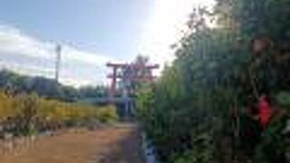 北大東島の秋葉神社