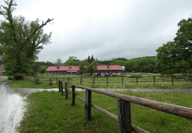 小岩井農場酪農発祥の地