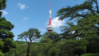 宇都宮にある展望台がある眺望が良いタワー