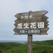 海の先は知床連山