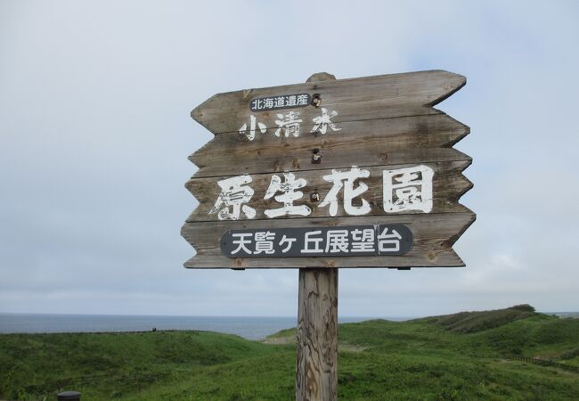 海の先は知床連山