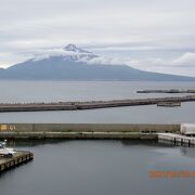 礼文島からも沢山見ることが出来ました