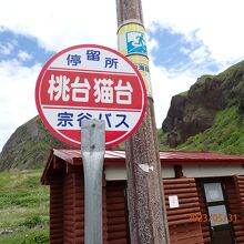 路線バスでも行けます