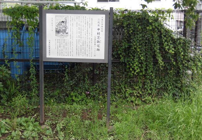 建物の大きさや雰囲気がわからない