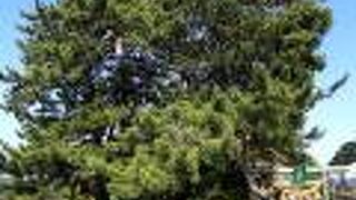 雨晴海岸の名前の由来になった伝説