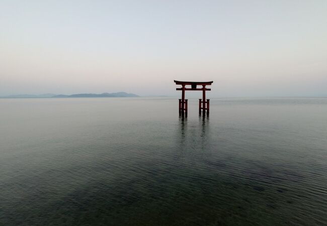 白鬚神社に行ってきました