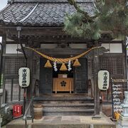 東山菅原神社の狛犬は、とても小さな狛犬です