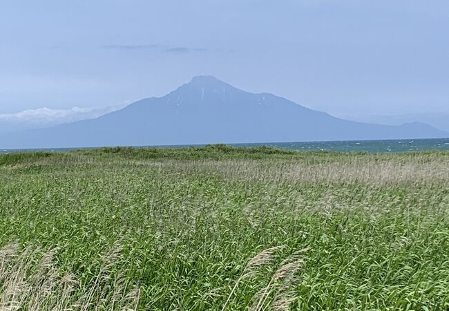 オロロンライン！