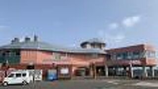 大ぶりな牡蠣のいけす、その牡蠣をその場で焼いて食べられるレストランあり