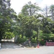 弥彦公園