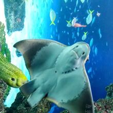 サンシャイン水族館