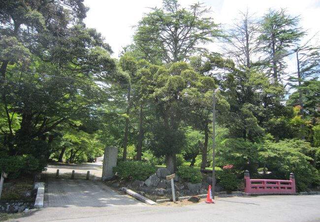 弥彦駅近く広い公園です、その一部のみ散策しました