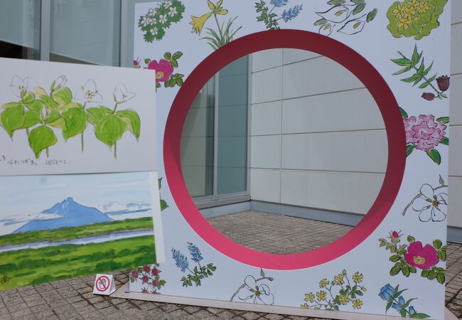 ☆坂本直行☆「 ミズバショウ 」カラーペン画　未使用！ ☆坂本直行☆「 ミズバショウ 」カラーペン画 未使用！ （坂本直