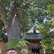 白神大神を祀る龍王社