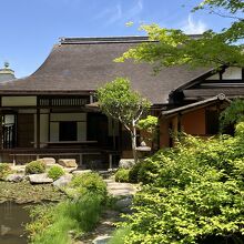 新緑が綺麗でした