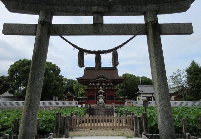 伊賀八幡宮