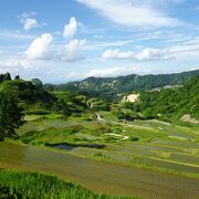 規模の大きな棚田です