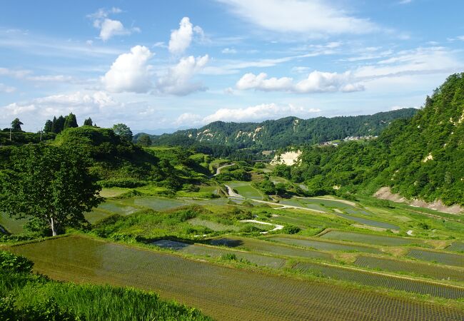 四ヶ村の棚田