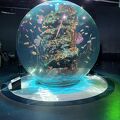 アクアリウムとアートを融合した水族館