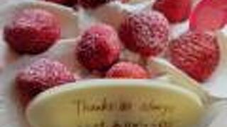 ボストン フジグラン広島店