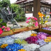 カラフルな御朱印と花手水が素敵な神社　二宮尊徳の終焉の地