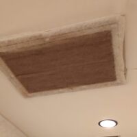客室の天井のフィルターは常に取り替えてほしい