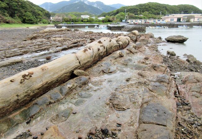 地質の博物館といわれるほどの珍しい岩礁風景が続いています