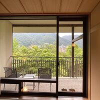 美しい緑が見られます