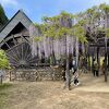 水仙と藤の時期のみ開園する公園である。