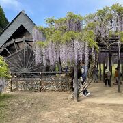 水仙と藤の時期のみ開園する公園である。