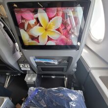 A380、2階席の窓側は物入れがある